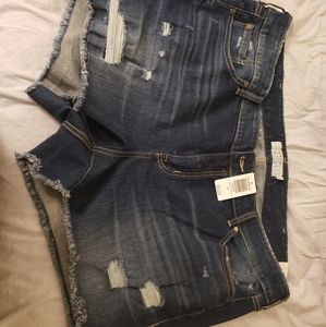 Torrid shorts